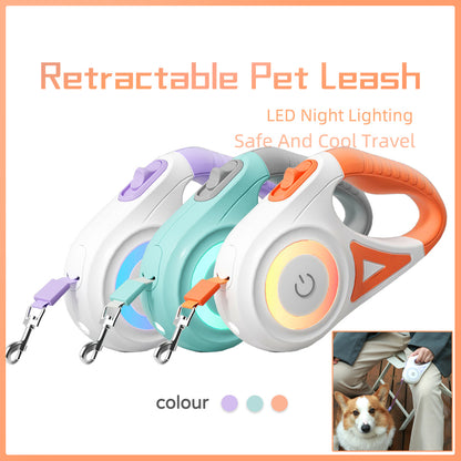 Dog Leash & Collar Set – Automatic
