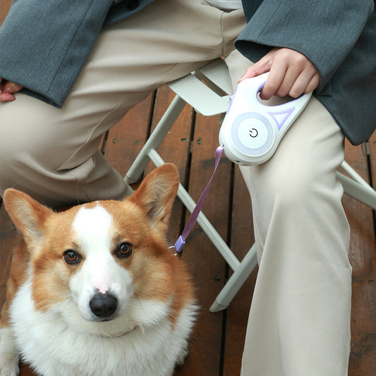 Dog Leash & Collar Set – Automatic